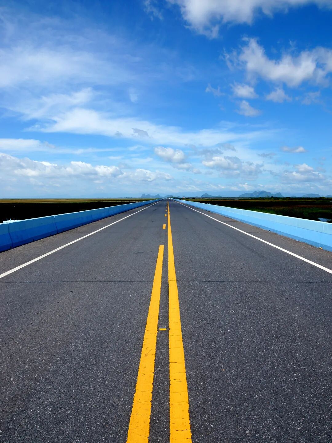 專(zhuān)業(yè)路況檢測(cè)_道路養(yǎng)護(hù)科技賦能_路況