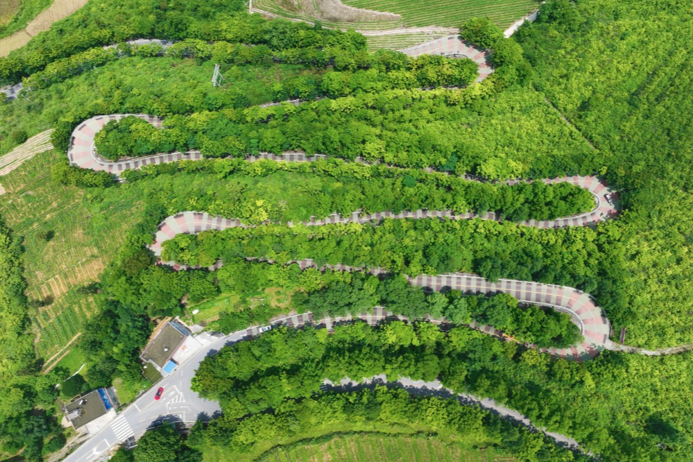 農(nóng)村道路交通安全提示_出行提示_駕駛?cè)顺鲂邪踩?/></p>

<p>駕駛?cè)似?/p>
<p>農(nóng)村道路出行安全提示</p>
<p>出車之前要對(duì)車況展開檢查，圍繞車輛走上一圈，對(duì)胎壓進(jìn)行檢查，對(duì)燈光加以檢查，對(duì)剎車予以檢查，以此來保證車況處于良好的狀態(tài)。</p>
<p>第②點(diǎn)，一盔一帶，安全常在，不管是駕駛小轎車，還是乘坐車輛當(dāng)中的前排，或者后排，所駕乘人員都必須系好安全帶，騎乘摩托車、電動(dòng)車時(shí)，請(qǐng)正確佩戴合格的安全頭盔，對(duì)于拖拉機(jī)、三輪車，車尾務(wù)必一定要貼好反光貼，用以提示后車避開避免追尾。</p>

<p>要守法，做到文明出行，不進(jìn)行無證的駕駛行為，不酒后駕車，不超員超載，不非法載人，不疲勞駕駛，遵守交通安全法律法規(guī)，從而文明出行 。</p>
<p>④駕車出行之際，心態(tài)需保持那種平和的狀態(tài) ，視線要朝著遠(yuǎn)處去放 。碰到農(nóng)用車 ，碰到三輪車 ，要懷揣耐心去跟隨 ，挑選安全地段之后再超車 。路過村口時(shí) ，經(jīng)過路口時(shí) ，穿過巷口時(shí) ，務(wù)必要提前降低速度 ，并且鳴響喇叭 。</p>

<p>行人篇</p>
<p>農(nóng)村道路出行安全提示</p>
<p>步行之際，當(dāng)盡可能游走于硬化路面之邊緣地帶或者專門設(shè)置之人行通道上面，需避開那些存在坑洼以及破損狀況的路段，并且要沿著邊緣行走；而當(dāng)路過路口、彎道、坡頂?shù)葘儆谝暰€盲區(qū)的區(qū)域之時(shí)，務(wù)必要格外留意進(jìn)行觀察。</p>
<p><img src=