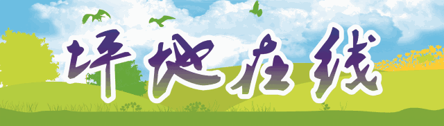 深圳限行政策調(diào)整 免限行申請(qǐng)政策 深圳新增免限行路段_限行