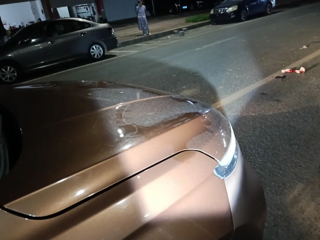 路況_行車(chē)安全注意事項(xiàng)_駕駛觀(guān)察禮讓行人