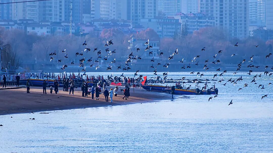 出行提示_蘭州元旦假期交通出行指南_元旦蘭州天氣及交通擁堵預測