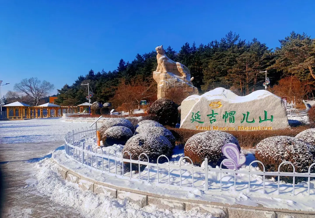 延邊元旦假期道路交通安全提示_2026年元旦延邊交警安全出行攻略_出行提示